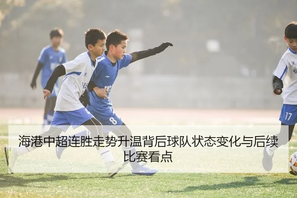 img_1781022015355_87_1_411.jpg